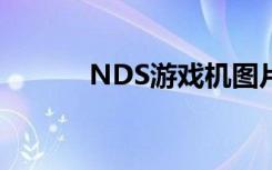 NDS游戏机图片（nds游戏机）