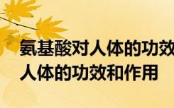 氨基酸对人体的功效和作用是什么 氨基酸对人体的功效和作用