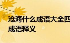 沧海什么成语大全四个字 含有沧字和海字的成语释义