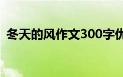 冬天的风作文300字优秀作文 冬天的风作文