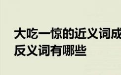 大吃一惊的近义词成语有哪些 大吃一惊的近反义词有哪些