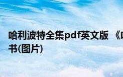 哈利波特全集pdf英文版 《哈利波特》1－7中英文全集电子书(图片)