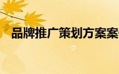 品牌推广策划方案案例 品牌推广策划方案