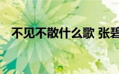 不见不散什么歌 张碧晨《不散不见》歌词