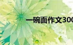 一碗面作文300字 一碗面作文