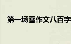 第一场雪作文八百字 第一场雪作文800字