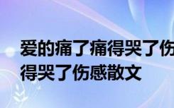 爱的痛了痛得哭了伤感散文句子 爱的痛了痛得哭了伤感散文