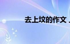 去上坟的作文 上坟作文600字