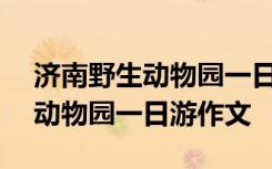 济南野生动物园一日游作文600字 济南野生动物园一日游作文
