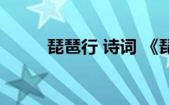 琵琶行 诗词 《琵琶行》古诗鉴赏