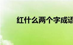 红什么两个字成语（红什么两个字）
