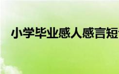 小学毕业感人感言短句 小学毕业感人感言