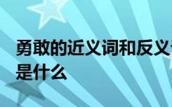 勇敢的近义词和反义词是什么? 勇敢近反义词是什么