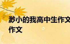 渺小的我高中生作文800字 渺小的我高中生作文