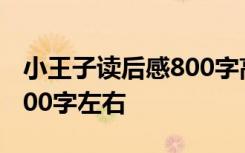 小王子读后感800字高中作文 小王子读后感800字左右