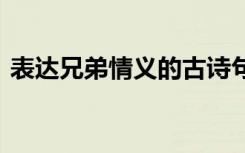 表达兄弟情义的古诗句 表达兄弟情义的句子