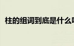 柱的组词到底是什么呀 柱组词(精选100个)