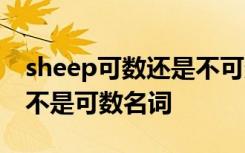 sheep可数还是不可数用is还是are sheep是不是可数名词