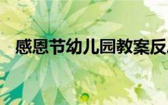 感恩节幼儿园教案反思 感恩节幼儿园教案