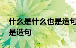 什么是什么也是造句一年级 用什么是什么也是造句