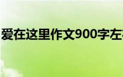 爱在这里作文900字左右 爱在这里作文900字