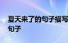 夏天来了的句子描写夏天的句子 夏天来了的句子