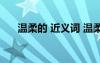 温柔的 近义词 温柔的近义词以及扩展