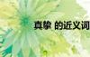 真挚 的近义词 真挚的反义词