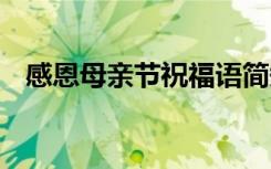 感恩母亲节祝福语简短 感恩母亲节祝福语