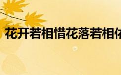花开若相惜花落若相依 花开若相惜美文欣赏