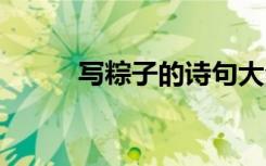 写粽子的诗句大全 写粽子的诗句
