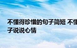 不懂得珍惜的句子简短 不懂得珍惜的句子 不懂得珍惜的句子说说心情