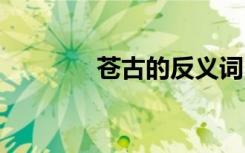 苍古的反义词 苍老的反义词