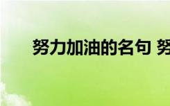 努力加油的名句 努力加油的句子摘抄