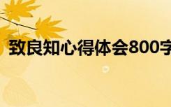 致良知心得体会800字 致良知学习心得体会
