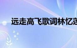 远走高飞歌词林忆莲 远走高飞歌词介绍