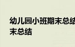 幼儿园小班期末总结ppt模板 幼儿园小班期末总结