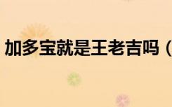 加多宝就是王老吉吗（加多宝是不是王老吉）