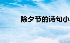 除夕节的诗句小学 除夕节的诗句