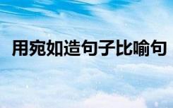 用宛如造句子比喻句 宛如造句(精选100句)