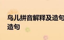 鸟儿拼音解释及造句怎么写 鸟儿拼音解释及造句