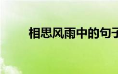 相思风雨中的句子 相思风雨中散文