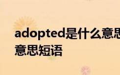 adopted是什么意思中文 admitted是什么意思短语