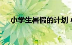 小学生暑假的计划 小学生暑假学习计划