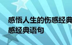 感悟人生的伤感经典语句图片 感悟人生的伤感经典语句