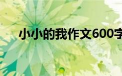 小小的我作文600字初一 小小的我作文