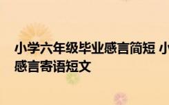 小学六年级毕业感言简短 小学六年级毕业感言_小学的毕业感言寄语短文