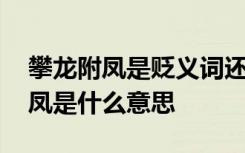 攀龙附凤是贬义词还是褒义词 贬义词攀龙附凤是什么意思