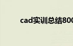 cad实训总结800字 cad实训总结