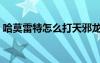 哈莫雷特怎么打天邪龙王（哈莫雷特怎么打）